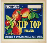 Artist: Burdett, Frank. | Title: Label: Tip Top apples. | Date: 1931 | Technique: lithograph, printed in colour, from multiple stones [or plates]