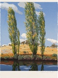 Artist: ROSE, David | Title: Poplars at Thredbo River | Date: 1993 | Technique: screenprint, printed in colour, from multiple stencils