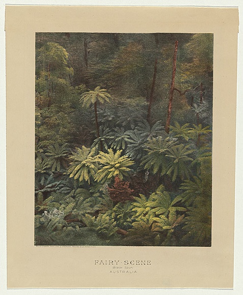 Artist: CAIRE, Nicholas | Title: Fairy scene (Black Spur) Australia c.1888. | Date: c.1878-88 | Technique: photo-lithograph, printed in colour, from multiple stones Artist: CAIRE, Nicholas | Title: Fairy scene (Black Spur) Australia c.1888. | Date: c.1878-88 | Technique: photo-lithograph, printed in colour, from multiple stones