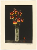 Artist: GRIFFITH, Pamela | Title: Christmas bells | Date: 1986 | Technique: hardground-etching and aquatint, printed in colour, from two zinc plates | Copyright: © Pamela Griffith