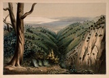 Artist: Angas, George French. | Title: View from Mount Lofty, looking over the Plains of Adelaide. | Date: 1846-47 | Technique: lithograph, printed in colour, from multiple stones; varnish highlights by brush