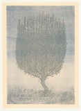 Artist: Johnstone, Ruth. | Title: Rosemary for remembrance of things past | Date: 1998, August | Technique: lithograph, printed in colour, from two stones