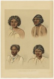 Artist: Angas, George French. | Title: Typical portraits of the Aborigines. | Date: 1846-47 | Technique: lithograph, printed in colour, from multiple stones; varnish highlights by brush