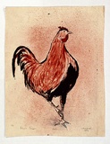 Artist: Grieve, Robert. | Title: Rooster | Date: 1953 | Technique: lithograph, printed in colour, from two zinc plates