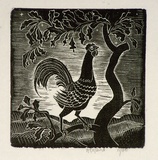 Artist: OGILVIE, Helen | Title: Early morning | Date: 1935 | Technique: wood-engraving, printed in black ink, from one block