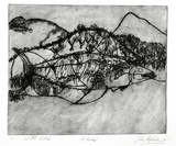 Artist: Shepherdson, Gordon. | Title: The Mackerel: Number ten | Date: 1979 | Technique: etching and aquatint, printed in colour with plate-tone, from one plate