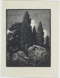 Artist: LINDSAY, Lionel | Title: (Cypresses and rocks) [recto] | Date: c.1922 | Technique: wood-engraving, printed in black ink, from one block | Copyright: Courtesy of the National Library of Australia