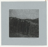 Artist: WILLIAMS, Fred | Title: Forest at Almerton. Number 2 | Date: 1962 | Technique: aquatint, drypoint and engraving, printed in black ink, from one copper plate | Copyright: © Fred Williams Estate