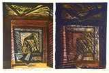 Artist: Marshall, Jennifer. | Title: Parterre III (double spead) | Date: 1990 | Technique: linocut and woodblock, printed in colour, from six blocks