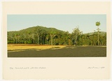 Artist: ROSE, David | Title: Ourimbah profile with late shadows | Date: 1980 | Technique: screenprint, printed in colour, from multiple stencils