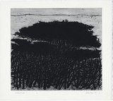 Artist: Kluge-Pott, Hertha. | Title: Melaleuka page 2. | Date: 2005 | Technique: etching and drypoint, printed in black ink with plate-tone, from one plate