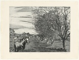 Artist: GRIFFITH, Pamela | Title: Horses on the flats of the Murrumbidgee | Date: 1981 | Technique: etching, aquatint printed in black ink, from one zinc plate | Copyright: © Pamela Griffith
