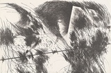 Artist: MEYER, Bill | Title: Gapoid energy and form | Date: 1969-71 | Technique: lithograph, printed in black ink, from one stone | Copyright: © Bill Meyer