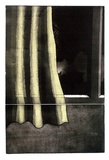 Artist: BALDESSIN, George | Title: Curtain. | Date: 1970 | Technique: etching and aquatint, printed in black ink, from two plates; stencil, printed in green ink, from one stencil.