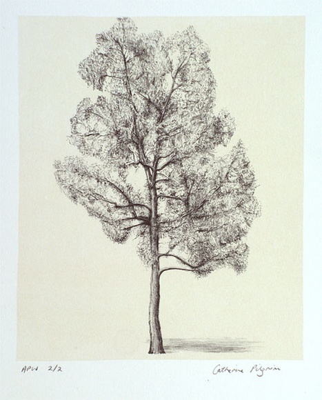 Artist: Pilgrim, Catherine. | Title: not titled [narrow tree] | Date: 2001, March | Technique: lithograph, printed in colour, from two stones (image in black, cream tint)