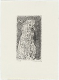 Artist: Anceschi, Eros. | Title: not titled [cockatoo] | Date: 1989 | Technique: etching, printed in black ink from one plate