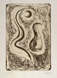 Artist: Danaher, Suzanne. | Title: not titled ['Within the skin?'] | Date: 1991, August | Technique: lithograph, printed in black ink, from one stone