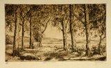Artist: Dwyer, Ella. | Title: Afternoon shade. | Date: (1938) | Technique: etching, printed in brown ink with plate-tone, from one plate