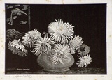 Artist: LINDSAY, Lionel | Title: Asters | Date: c.1936 | Technique: wood-engraving, printed in black ink, from one block | Copyright: Courtesy of the National Library of Australia