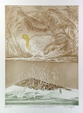 Artist: GRIFFITH, Pamela | Title: The Brush Turkey building and egg incubating mound | Date: 1989 | Technique: hard ground, aquatint, printed in colour, from one copper plate | Copyright: © Pamela Griffith