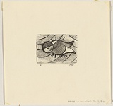 Artist: WILLIAMS, Fred | Title: Little fish | Date: 1961 | Technique: etching, aquatint and engraving, printed in black ink, from one copper plate | Copyright: © Fred Williams Estate