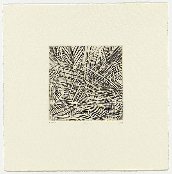 5. Relief etching (1984) by Schmeisser (19422012) · Australian