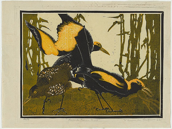 Artist: b'Griffin, Murray.' | Title: b'Regent bower birds [1].' | Date: 1932 | Technique: b'linocut, printed in colour, from multiple blocks'