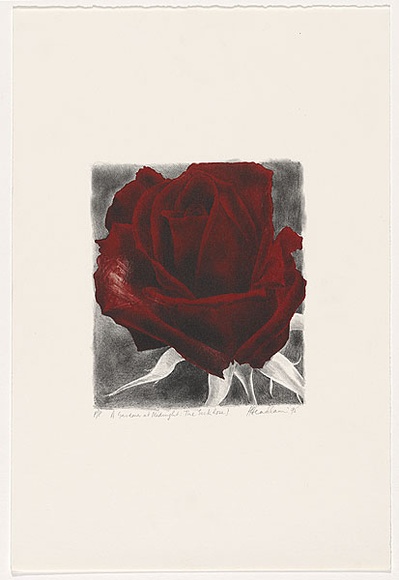 Artist: b'Headlam, Kristin.' | Title: b'A gardener at midnight: The Sick Rose I' | Date: 1995 | Technique: b'lithograph, printed in colour ink, from two stones' Artist: b'Headlam, Kristin.' | Title: b'A gardener at midnight: The Sick Rose I' | Date: 1995 | Technique: b'lithograph, printed in colour ink, from two stones'