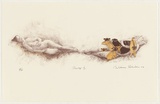 Artist: b'Robinson, William.' | Title: b'Parody IV' | Date: 2004 | Technique: b'lithograph, printed in colour, from multiple stones'