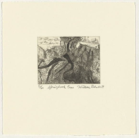 Artist: b'Robinson, William.' | Title: b'Springbrook trees' | Date: 1999 | Technique: b'etching, printed in black ink, from one plate' Artist: b'Robinson, William.' | Title: b'Springbrook trees' | Date: 1999 | Technique: b'etching, printed in black ink, from one plate'