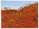 Artist: ROSE, David | Title: Morning hillside near Lake Julius | Date: 1988 | Technique: screenprint, printed in colour, from multiple stencils