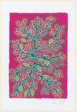 Artist: b'Nangala Joshua, Norma.' | Title: b'Bush orange' | Date: c.2001 | Technique: b'screenprint, printed in colour, from seven stencils'