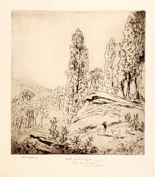 Artist: b'LINDSAY, Lionel' | Title: b'Middle Harbour cypress, Sydney' | Date: c.1907 | Technique: b'etching and aquatint, printed in brown ink, from one plate' | Copyright: b'Courtesy of the National Library of Australia' Artist: b'LINDSAY, Lionel' | Title: b'Middle Harbour cypress, Sydney' | Date: c.1907 | Technique: b'etching and aquatint, printed in brown ink, from one plate' | Copyright: b'Courtesy of the National Library of Australia'