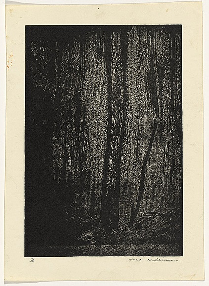 Artist: b'WILLIAMS, Fred' | Title: b'In the forest, Mittagong' | Date: 1958 | Technique: b'etching, printed in black ink, from one plate' | Copyright: b'\xc2\xa9 Fred Williams Estate' Artist: b'WILLIAMS, Fred' | Title: b'In the forest, Mittagong' | Date: 1958 | Technique: b'etching, printed in black ink, from one plate' | Copyright: b'\xc2\xa9 Fred Williams Estate'