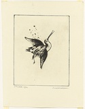 Artist: WILLIAMS, Fred | Title: Shot snipe | Date: 1974 | Technique: electric hand engraving, engraving and flat biting | Copyright: © Fred Williams Estate