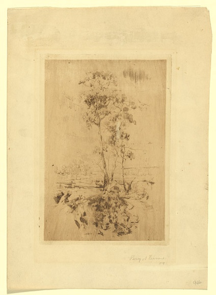 Artist: b'Leason, Percy.' | Title: b'no title (tall gum trees)' | Date: 1909 | Technique: b'drypoint, etching printed in brown ink with plate-tone, from one plate' | Copyright: b'Permission granted in memory of Percy Leason' Artist: b'Leason, Percy.' | Title: b'no title (tall gum trees)' | Date: 1909 | Technique: b'drypoint, etching printed in brown ink with plate-tone, from one plate' | Copyright: b'Permission granted in memory of Percy Leason'