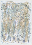Artist: MEYER, Bill | Title: Holcombe Forest I | Date: 1988 | Technique: screenprint, printed in colour, from multiple stencils | Copyright: © Bill Meyer