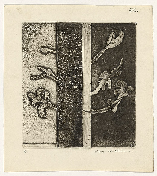 Artist: b'WILLIAMS, Fred' | Title: b'Design for a programme cover' | Date: 1954-66 | Technique: b'deep etching, aquatint, engraving, printed in relief in black ink, from one zinc plate' | Copyright: b'\xc2\xa9 Fred Williams Estate' Artist: b'WILLIAMS, Fred' | Title: b'Design for a programme cover' | Date: 1954-66 | Technique: b'deep etching, aquatint, engraving, printed in relief in black ink, from one zinc plate' | Copyright: b'\xc2\xa9 Fred Williams Estate'