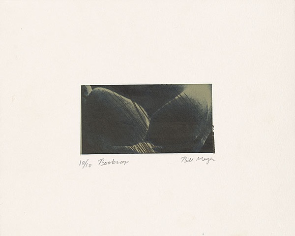 Artist: b'MEYER, Bill' | Title: b'Boobscape' | Date: 1983 | Technique: b'screenprint, printed in three colours, from two screens (indirect photo screen)' | Copyright: b'\xc2\xa9 Bill Meyer' Artist: b'MEYER, Bill' | Title: b'Boobscape' | Date: 1983 | Technique: b'screenprint, printed in three colours, from two screens (indirect photo screen)' | Copyright: b'\xc2\xa9 Bill Meyer'