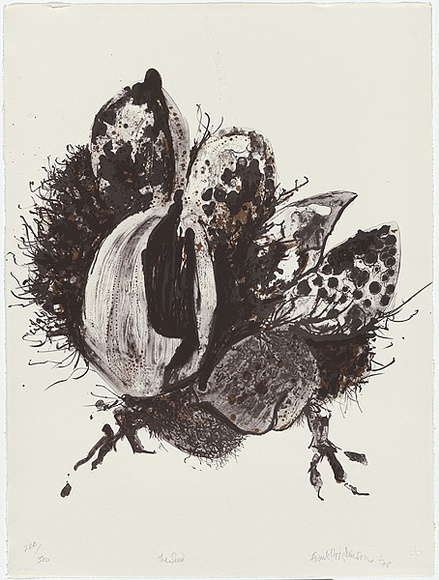 Artist: b'Hodgkinson, Frank.' | Title: b'The seed' | Date: 1978 | Technique: b'lithograph, printed in colour, from four plates' Artist: b'Hodgkinson, Frank.' | Title: b'The seed' | Date: 1978 | Technique: b'lithograph, printed in colour, from four plates'