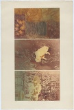 Artist: Hjorth, Noela. | Title: The portrait of the artist's son, cat and garden. | Date: 1972 | Technique: photo-etching, printed in colour, from multiple plates