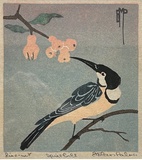 Artist: Palmer, Ethleen. | Title: Spinebill. | Date: 1930s (about) | Technique: linocut, printed in colour inks, from multiple blocks