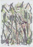 Artist: MEYER, Bill | Title: Grey box bush | Date: 1988 | Technique: photo-screenprint, printed in colour, from multiple stencils | Copyright: © Bill Meyer