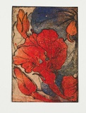 Artist: b'Sutherland, Jean.' | Title: b'not titled [red/blue colour]'