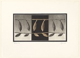 Artist: EWINS, Rod | Title: Gourds. | Date: 1976 January | Technique: photo-etching