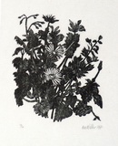 Artist: Miller, Max. | Title: Foliage, flowers | Date: 1971 | Technique: wood-engraving, printed inblack ink, from one block