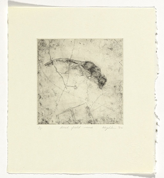 Artist: b'Myshkin, Tanya.' | Title: b'Dead field mouse' | Date: 1990 | Technique: b'etching, printed in black ink, from one copper plate' Artist: b'Myshkin, Tanya.' | Title: b'Dead field mouse' | Date: 1990 | Technique: b'etching, printed in black ink, from one copper plate'