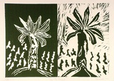 Artist: b'Shearer, Mitzi.' | Title: b'In the forest' | Date: 1977