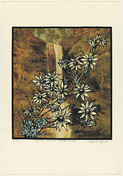 Title: b'Actinotos helianthi - flannel flowers' | Date: 1990 | Technique: b'screenprint, printed in colour, from multiple stencils' Title: b'Actinotos helianthi - flannel flowers' | Date: 1990 | Technique: b'screenprint, printed in colour, from multiple stencils'