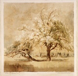 Artist: b'FULLWOOD, A.H.' | Title: b'Smiling spring.' | Date: 1906 | Technique: b'monotype, printed in colour, from one plate'